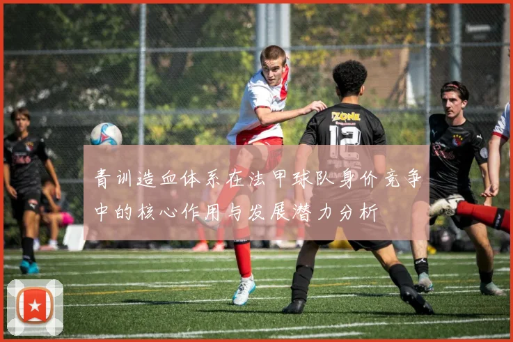 青训造血体系在法甲球队身价竞争中的核心作用与发展潜力分析