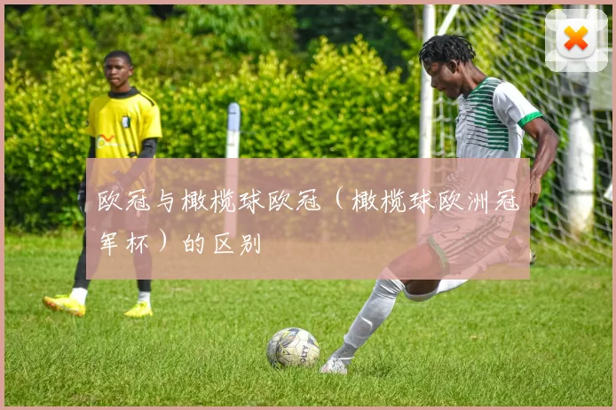 欧冠与橄榄球欧冠（橄榄球欧洲冠军杯）的区别